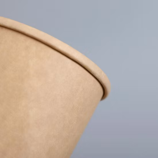 Disposable 500cc Soup Serving Bowls Bulk Party Supplies for Hot/Cold Food Paper Bowls